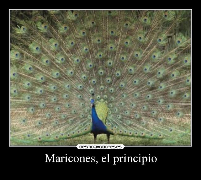 Maricones, el principio -