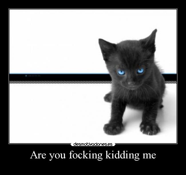 Are you focking kidding me -