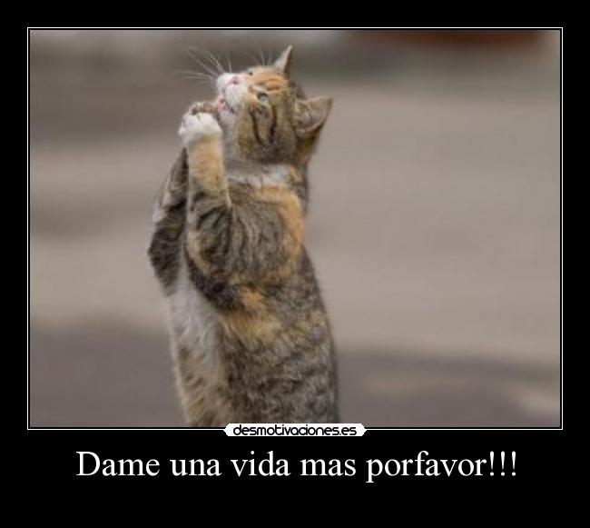 Dame una vida mas porfavor!!! -