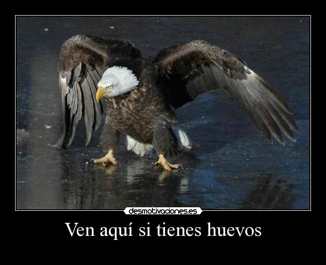 Ven aquí si tienes huevos -