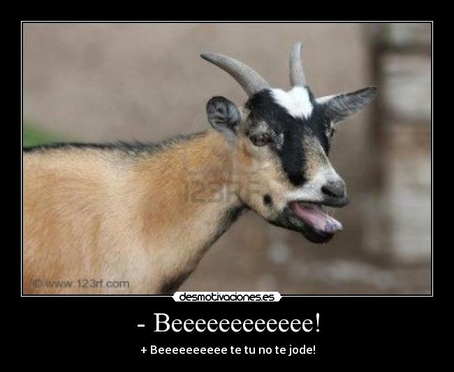 - Beeeeeeeeeeee! - 