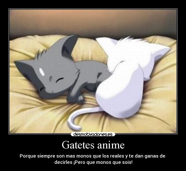 Gatetes anime - Porque siempre son mas monos que los reales y te dan ganas de
decirles ¡Pero que monos que sois!