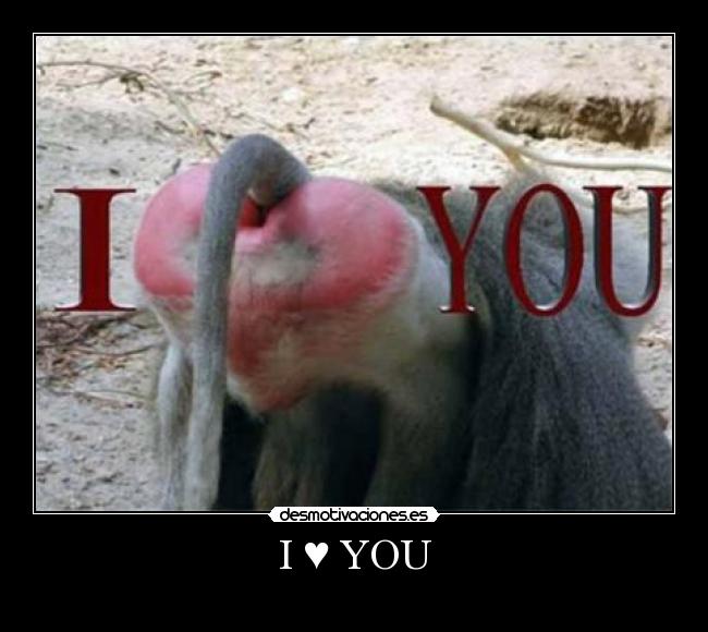 I ♥ YOU -