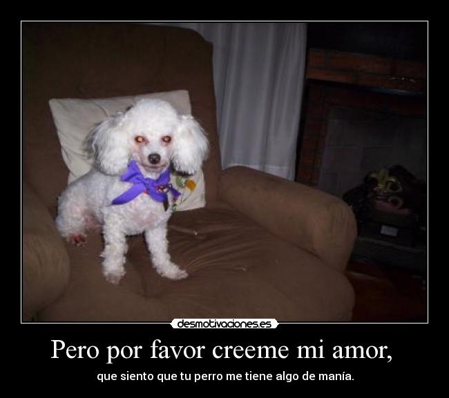 Pero por favor creeme mi amor, - que siento que tu perro me tiene algo de manía.
