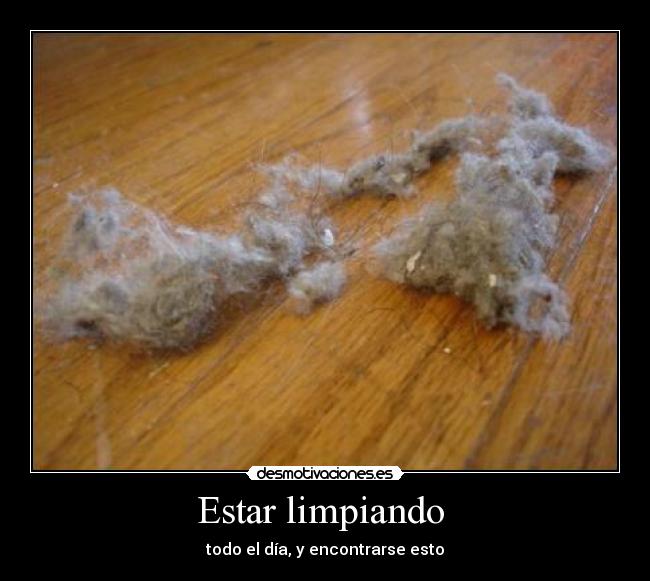 Estar limpiando -