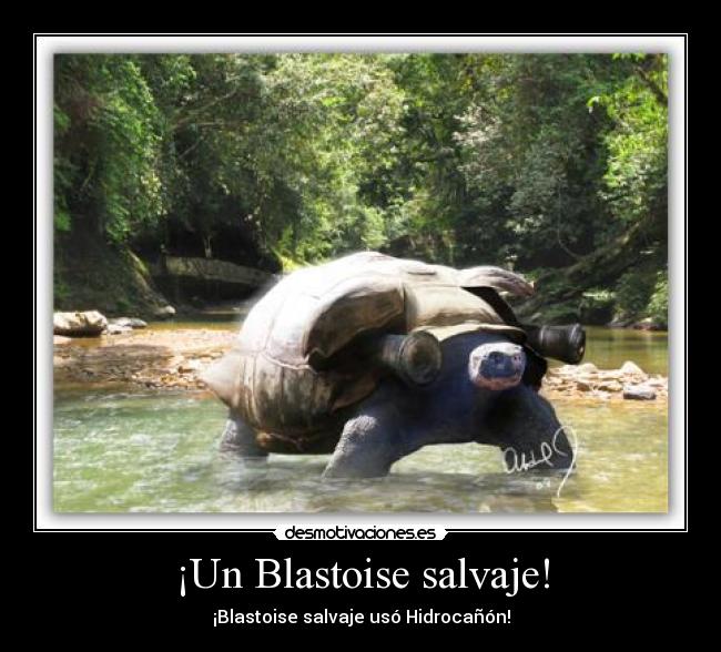 ¡Un Blastoise salvaje! -