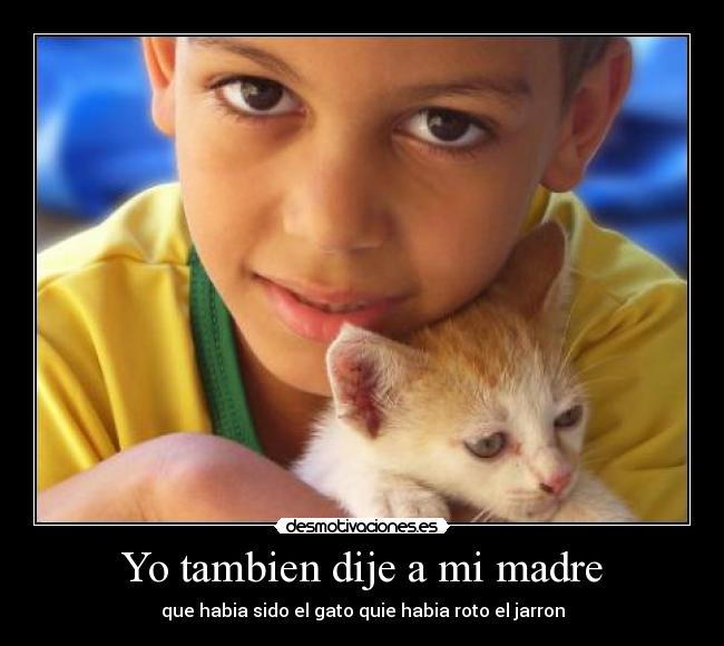 carteles madre java11 desmotivaciones