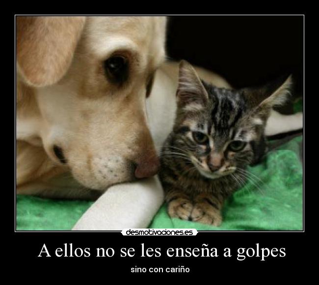 A ellos no se les enseña a golpes - sino con cariño