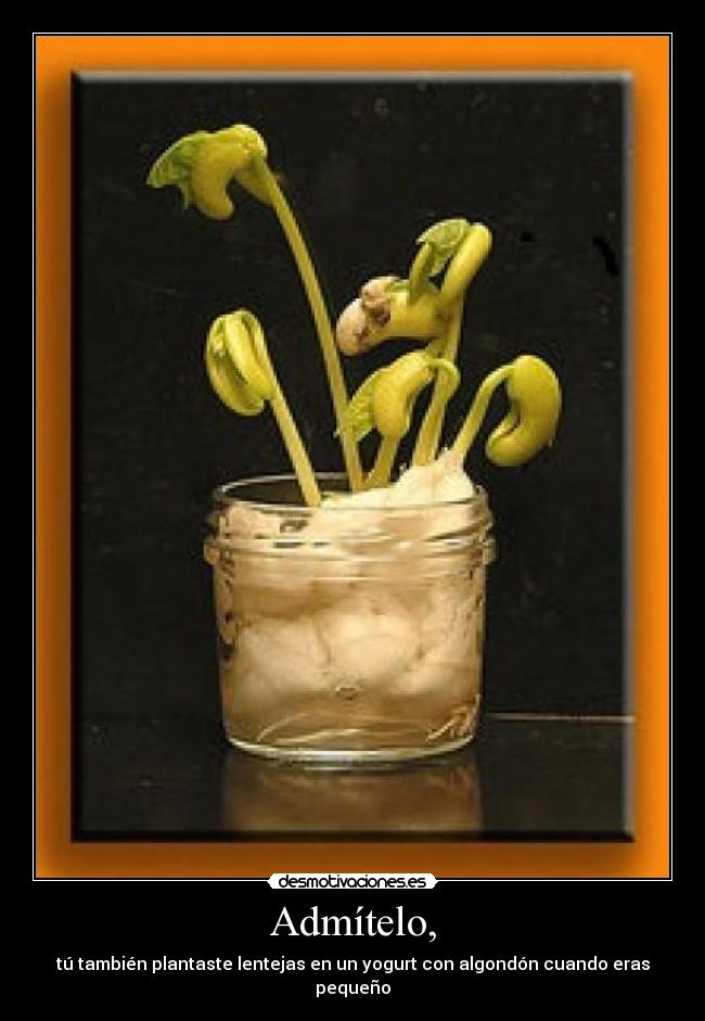 carteles lentejas desmotivaciones