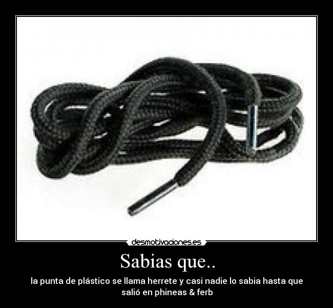 Sabias que.. - 