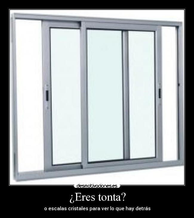 ¿Eres tonta? - o escalas cristales para ver lo que hay detrás