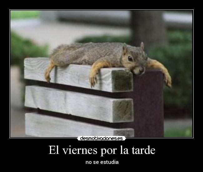 El viernes por la tarde - 