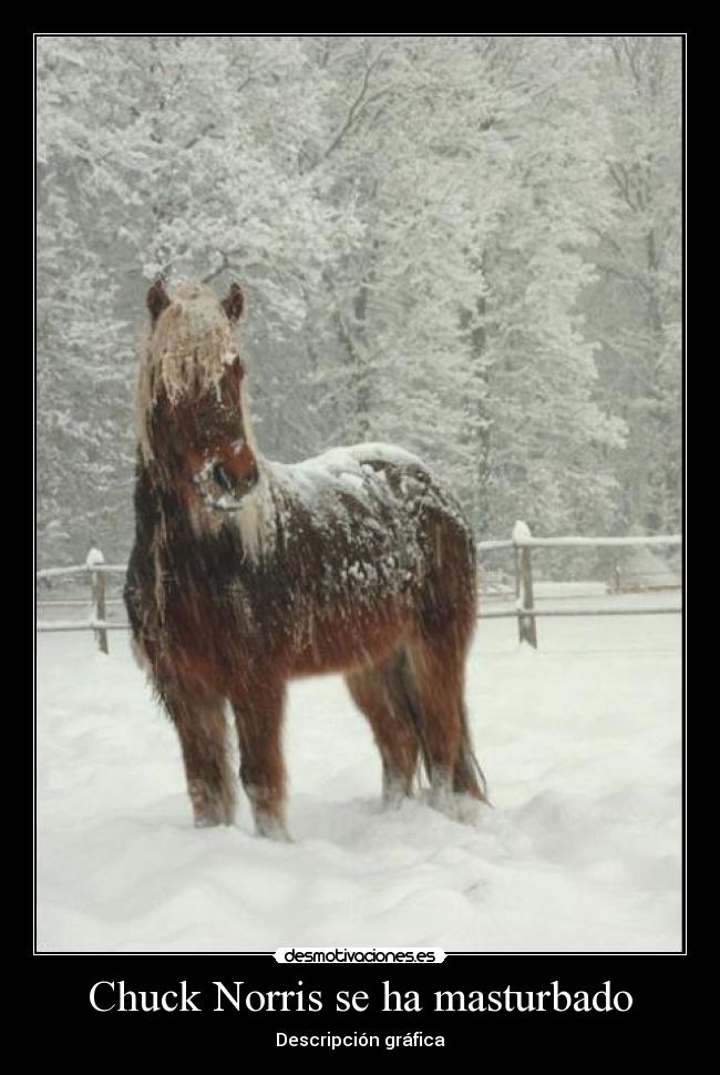 Chuck Norris se ha masturbado -
