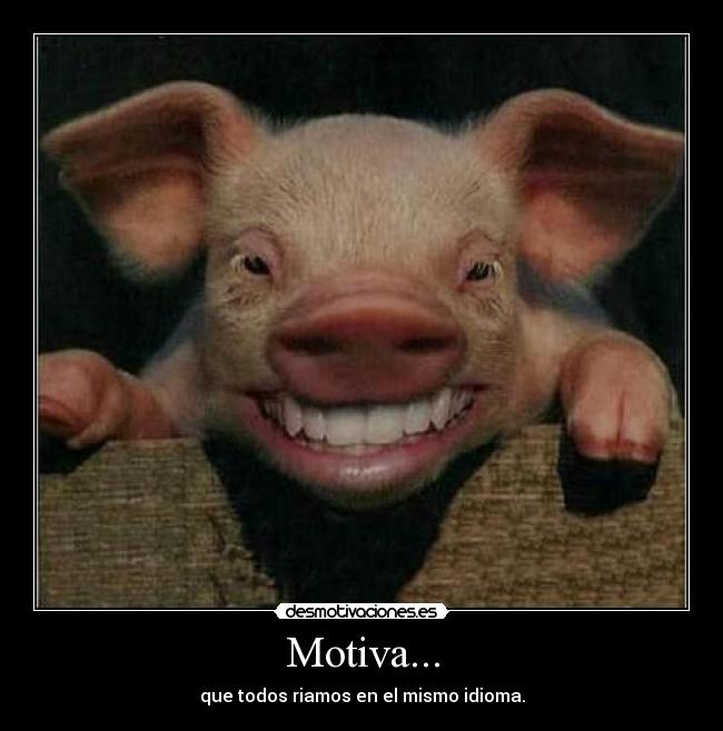 carteles risa idioma motiva desmotivaciones