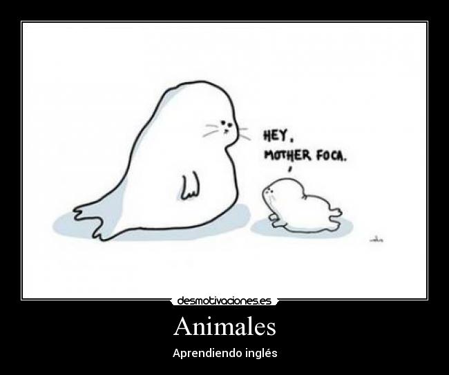 Animales - Aprendiendo inglés