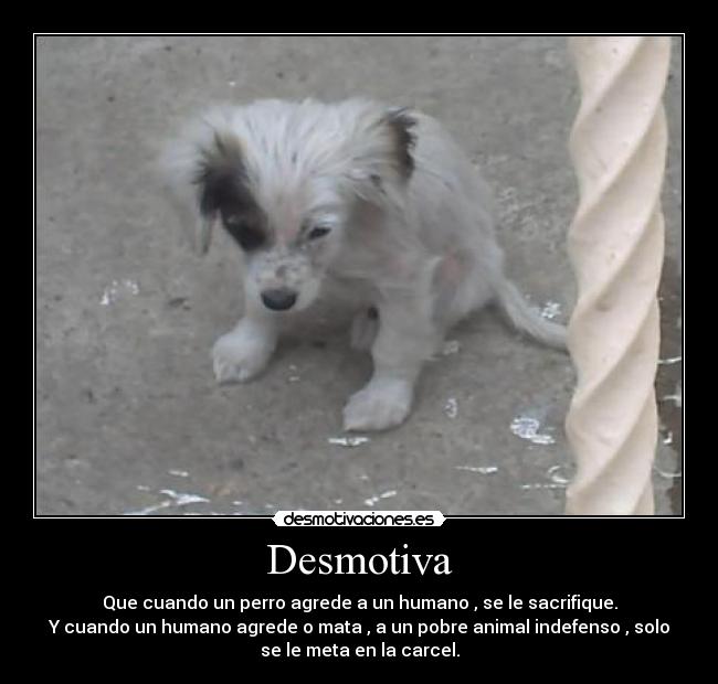 Desmotiva - 