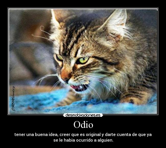 Odio - tener una buena idea, creer que es original y darte cuenta de que ya
se le habia ocurrido a alguien.