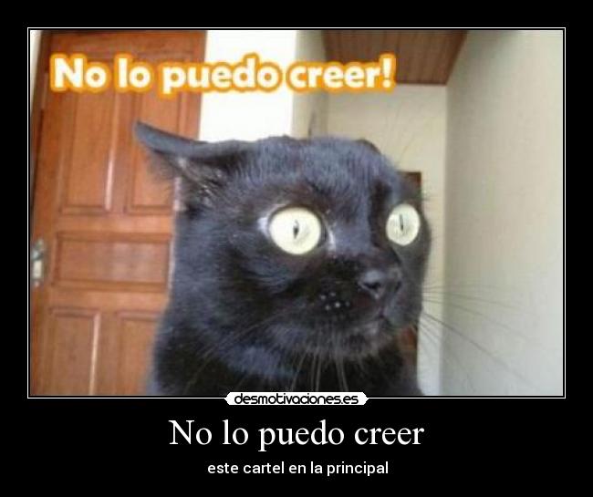 No lo puedo creer - 