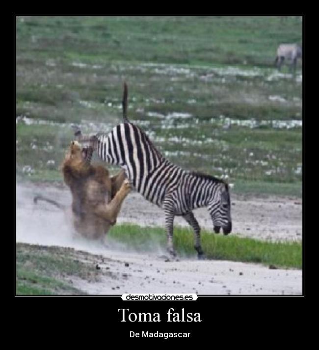 Toma falsa -
