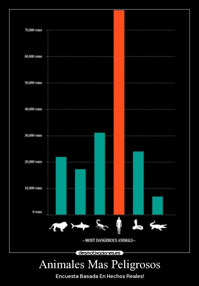 Animales Mas Peligrosos - 