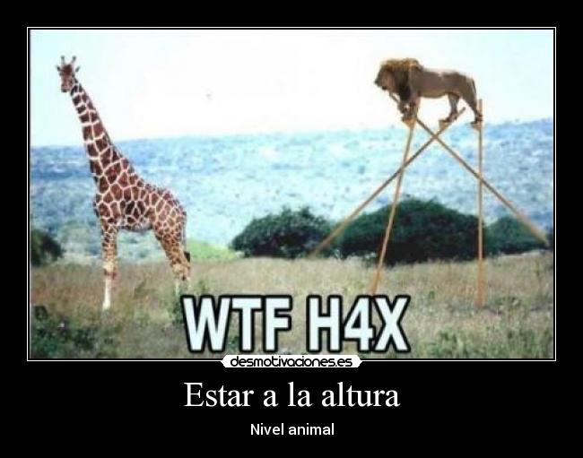 Estar a la altura - Nivel animal
