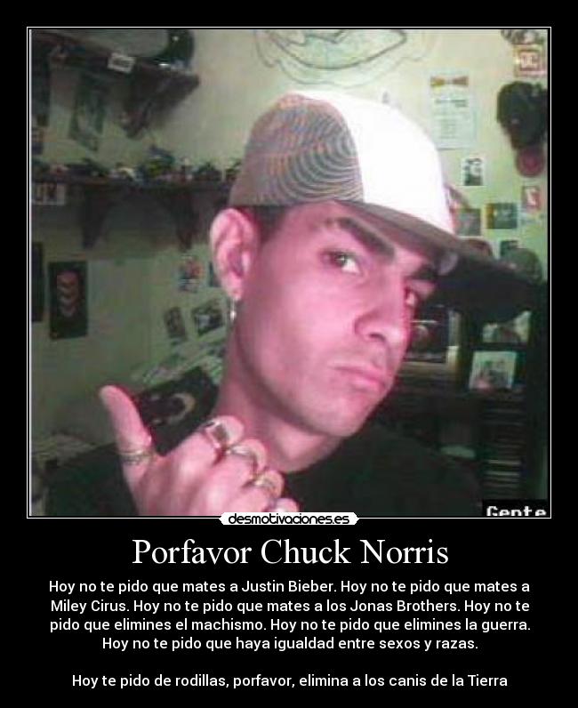 Porfavor Chuck Norris - Hoy no te pido que mates a Justin Bieber. Hoy no te pido que mates a
Miley Cirus. Hoy no te pido que mates a los Jonas Brothers. Hoy no te
pido que elimines el machismo. Hoy no te pido que elimines la guerra.
Hoy no te pido que haya igualdad entre sexos y razas.

Hoy te pido de rodillas, porfavor, elimina a los canis de la Tierra