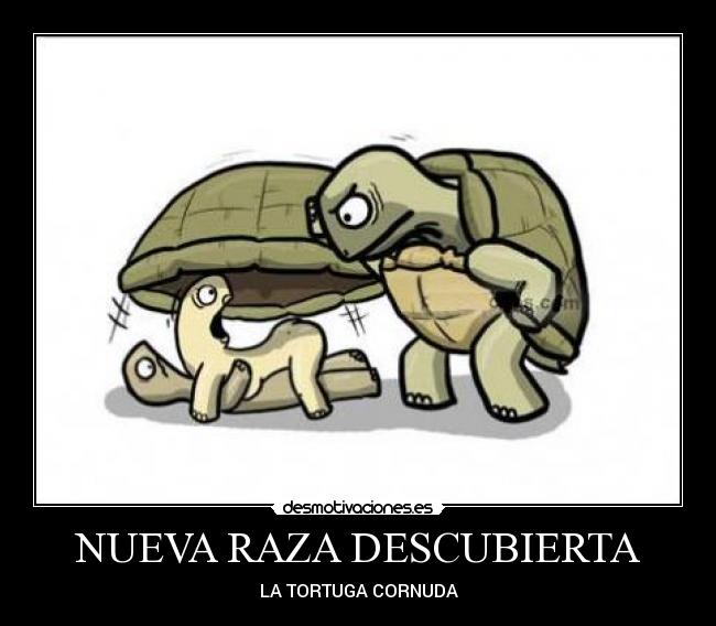 NUEVA RAZA DESCUBIERTA -