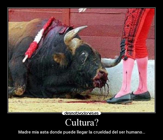 Cultura? - Madre mía asta donde puede llegar la crueldad del ser humano...