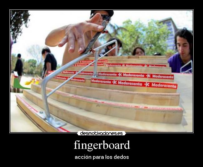 fingerboard -
