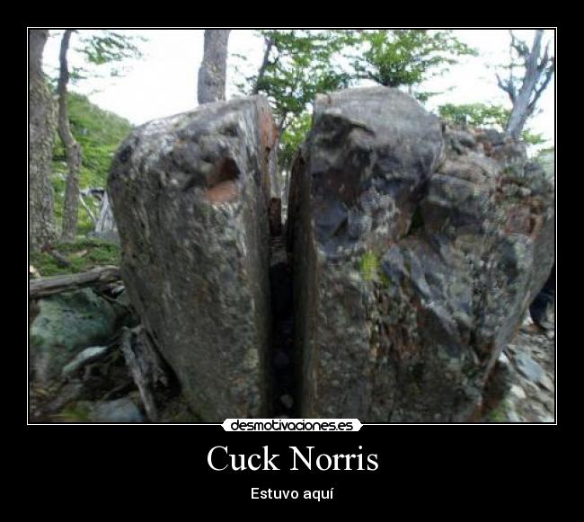 carteles chuck norris desmotivaciones