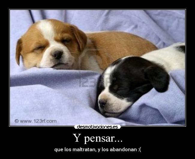 Y pensar... - que los maltratan, y los abandonan :(