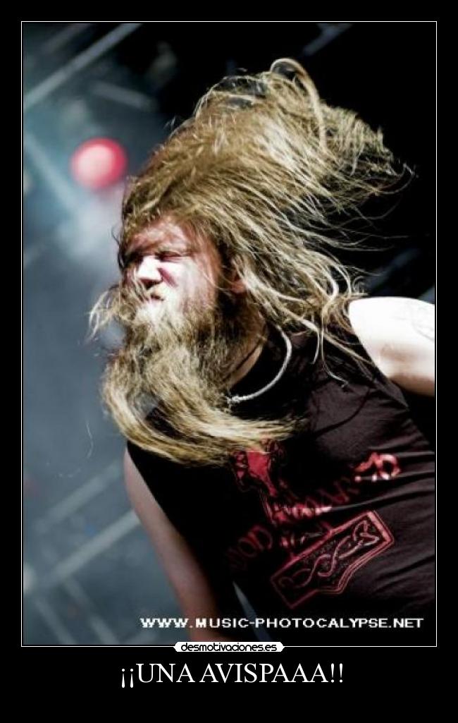 ¡¡UNA AVISPAAA!! -