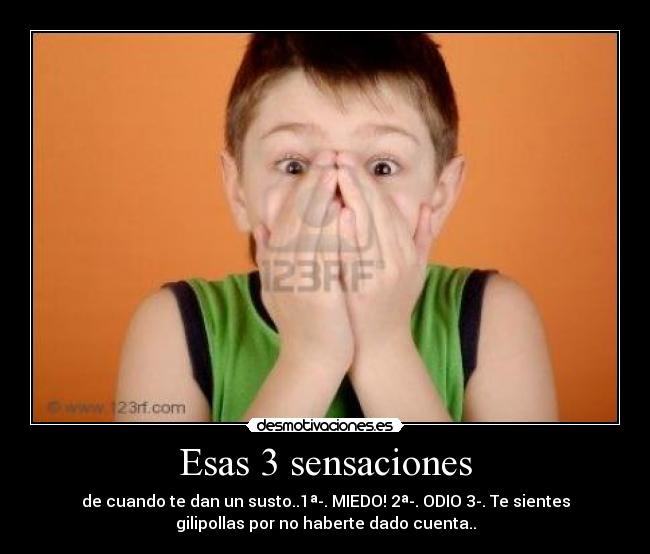 Esas 3 sensaciones - de cuando te dan un susto..1ª-. MIEDO! 2ª-. ODIO 3-. Te sientes
gilipollas por no haberte dado cuenta..