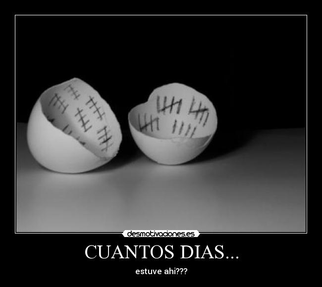 carteles dias huevos cuantos estuve ahi desmotivaciones