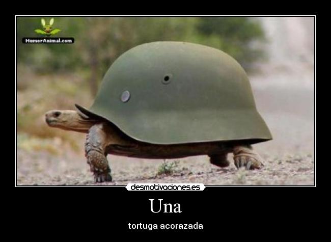 Una - tortuga acorazada