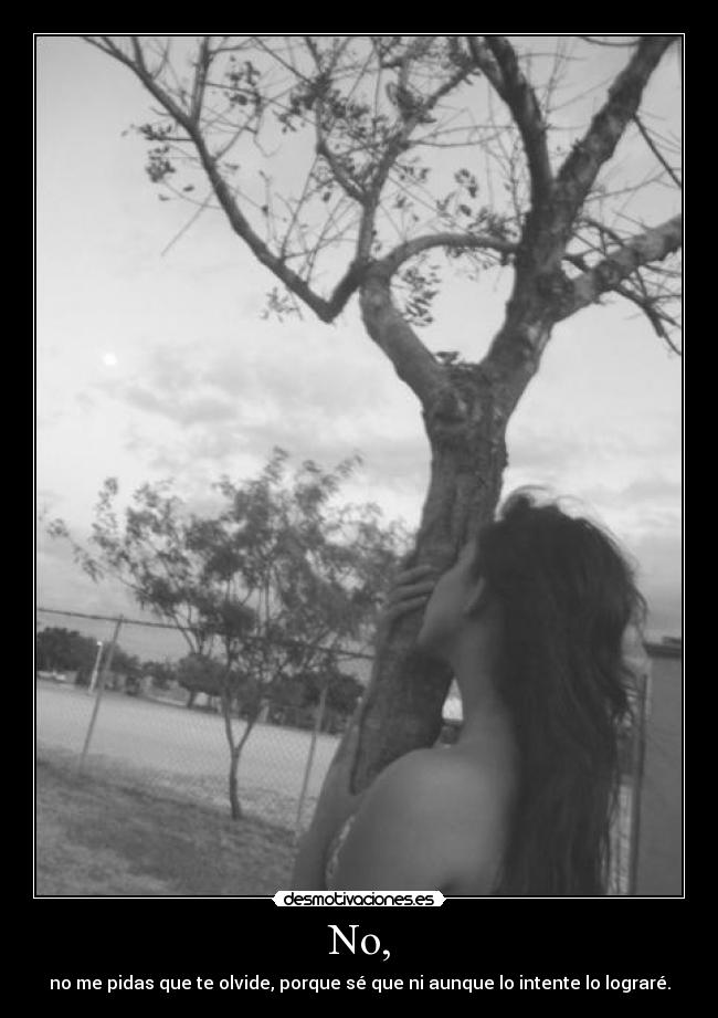 carteles olvidar amor perdon lograr desmotivaciones