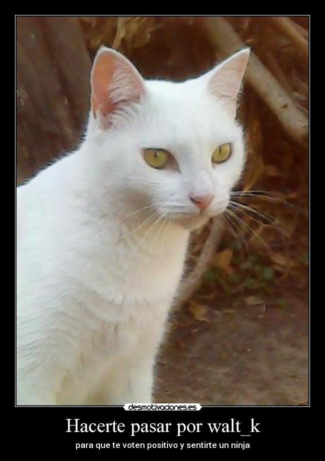Hacerte pasar por walt_k -
