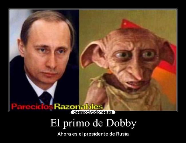 El primo de Dobby -