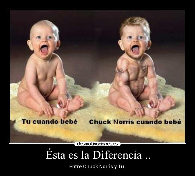 Ésta es la Diferencia .. - Entre Chuck Norris y Tu .