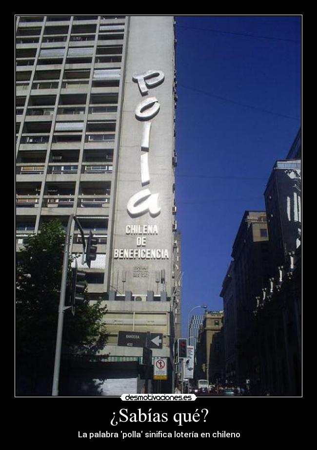 ¿Sabías qué? - La palabra polla sinifica lotería en chileno