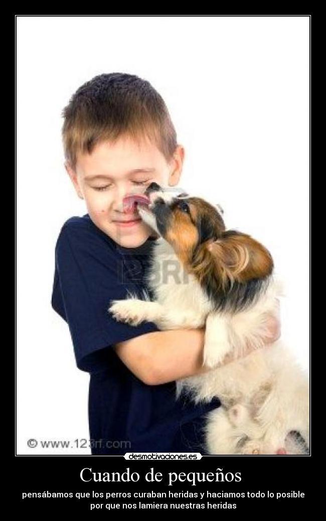 Cuando de pequeños - pensábamos que los perros curaban heridas y haciamos todo lo posible
por que nos lamiera nuestras heridas
