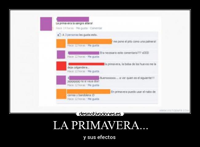 LA PRIMAVERA... - y sus efectos 