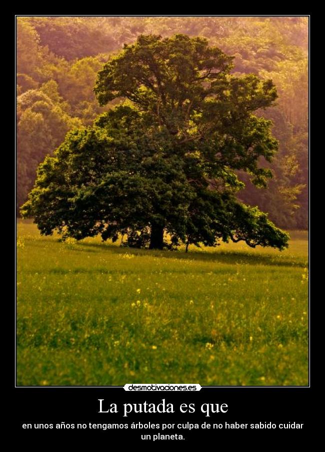 La putada es que - en unos años no tengamos árboles por culpa de no haber sabido cuidar un planeta.