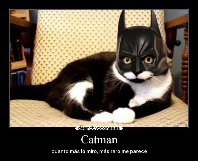 Catman - cuanto más lo miro, más raro me parece