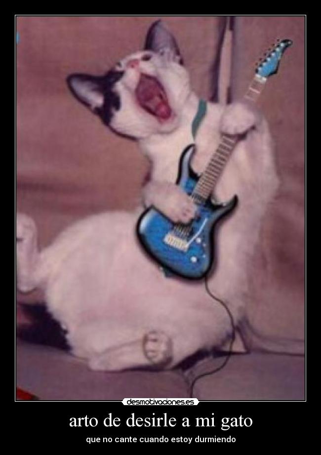 arto de desirle a mi gato - 