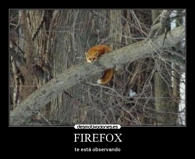 FIREFOX - 