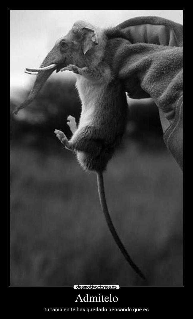 Admitelo - tu tambien te has quedado pensando que es