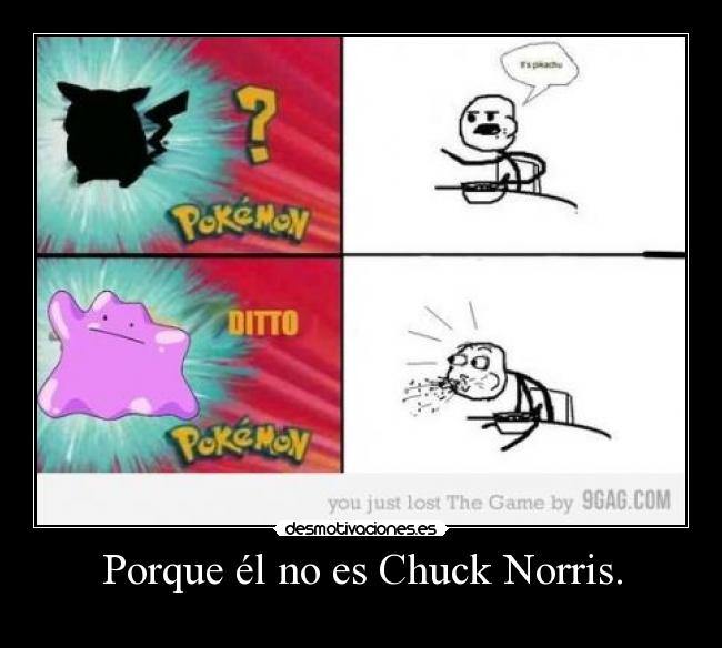 Porque él no es Chuck Norris. -