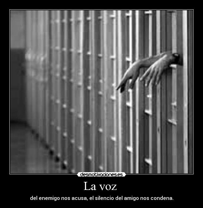 La voz - del enemigo nos acusa, el silencio del amigo nos condena.