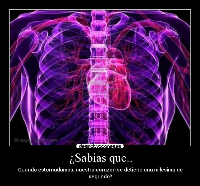 ¿Sabias que.. -